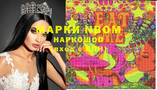 мдпв Бородино