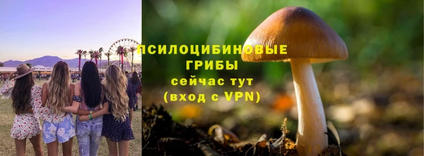 мдпв Бородино
