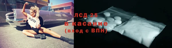 мдпв Бородино