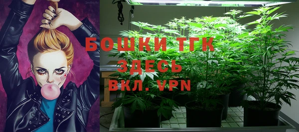 PSILOCYBIN Бугульма