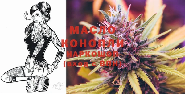 дживик Бронницы