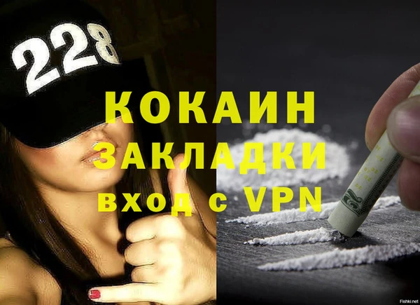 дживик Бронницы