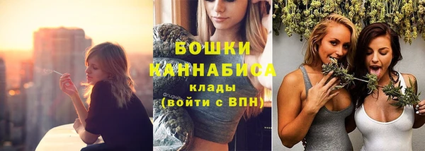 дживик Бронницы