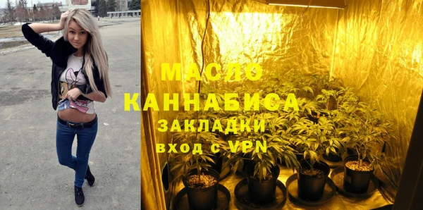 мдпв Бородино